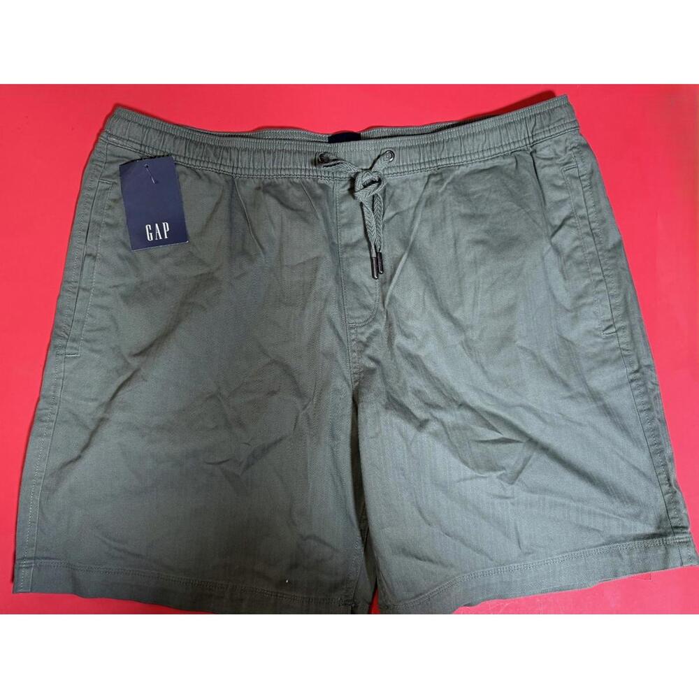 Gap Flat Front Shorts Women's Green Size XL NWT! NEW!